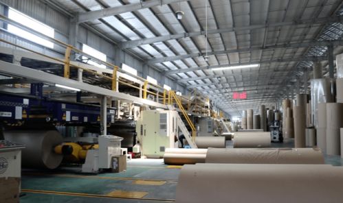 紙板 投資1.2億的包裝項目加快建設,項目一期已先行投產(chǎn)